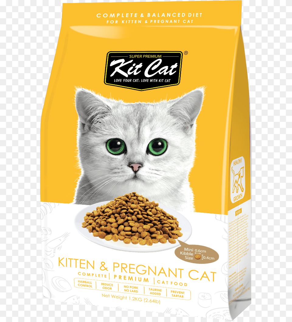 Best Online Pet Store Singapore Kit Cat Dry Food, Animal, Mammal, Produce Free Transparent Png