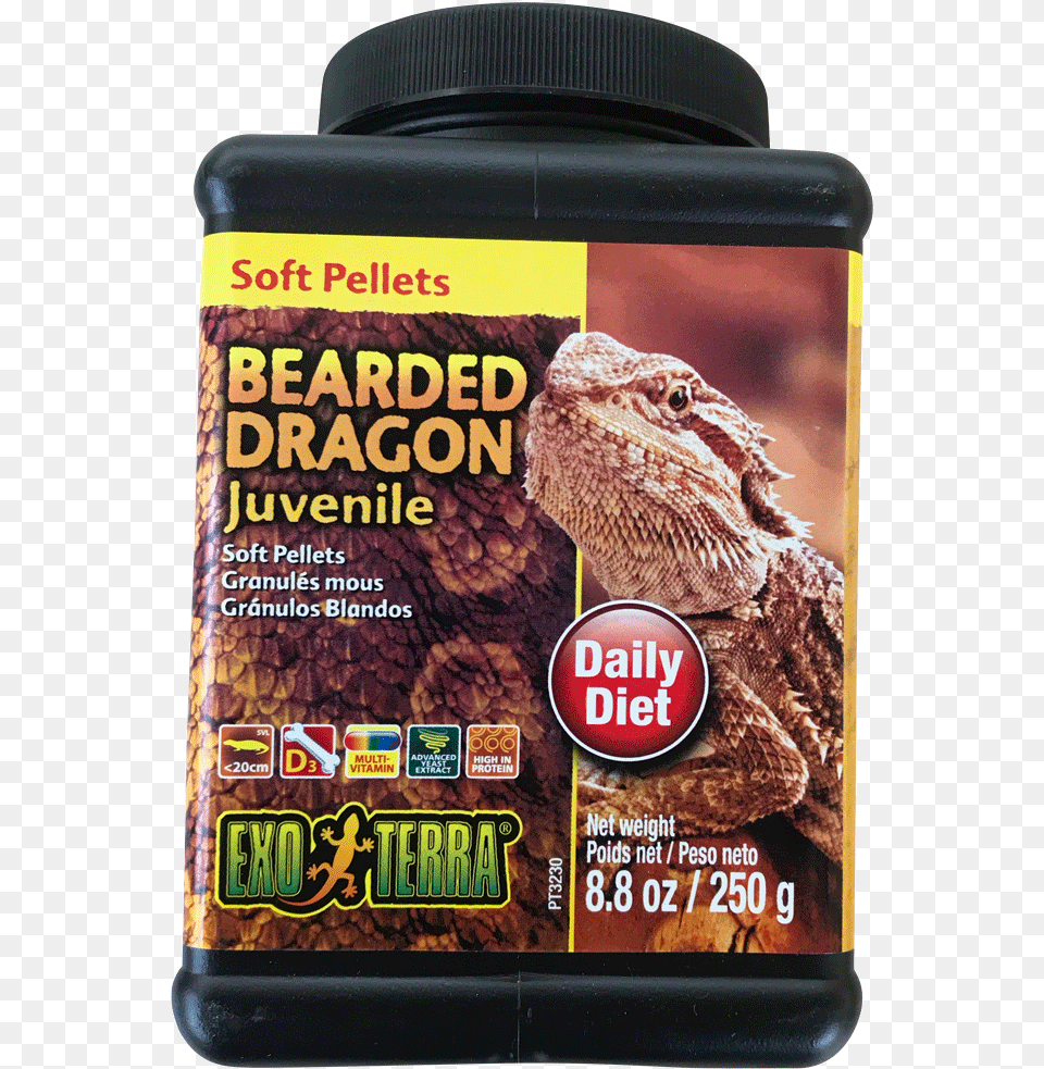 Best Online Reptile Food Supplier Dry Exo Bearded Dragon, Animal, Lizard Free Transparent Png
