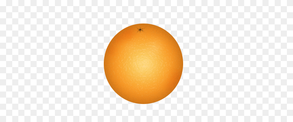 Best Orange Clip Art, Citrus Fruit, Food, Fruit, Plant Free Png