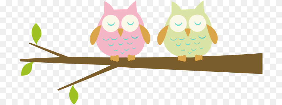 Best Owl Clipart, Animal, Bird, Baby, Person Png Image