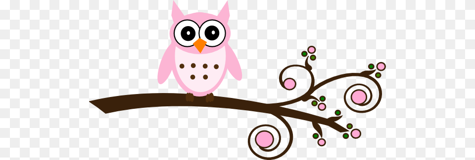 Best Owl Clipart, Flower, Plant, Animal, Cat Free Png Download