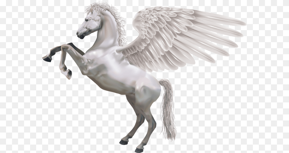 Best Pegasus Icon White Horse, Animal, Bird Free Png