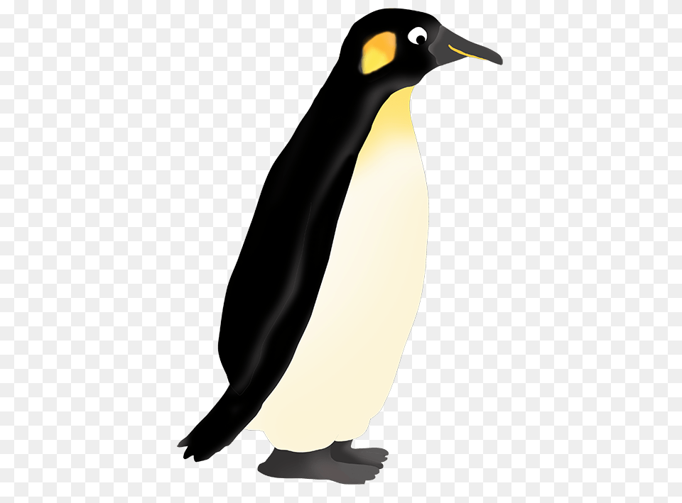 Best Penguin Clip Art, Animal, Bird, King Penguin, Adult Png