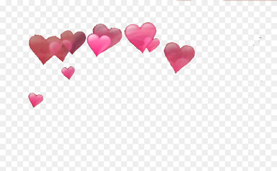Best Photos Of Booth Icon Transparent Transparent Hearts Hearts To Put Over Your Head, Heart, Flower, Petal, Plant Free Png