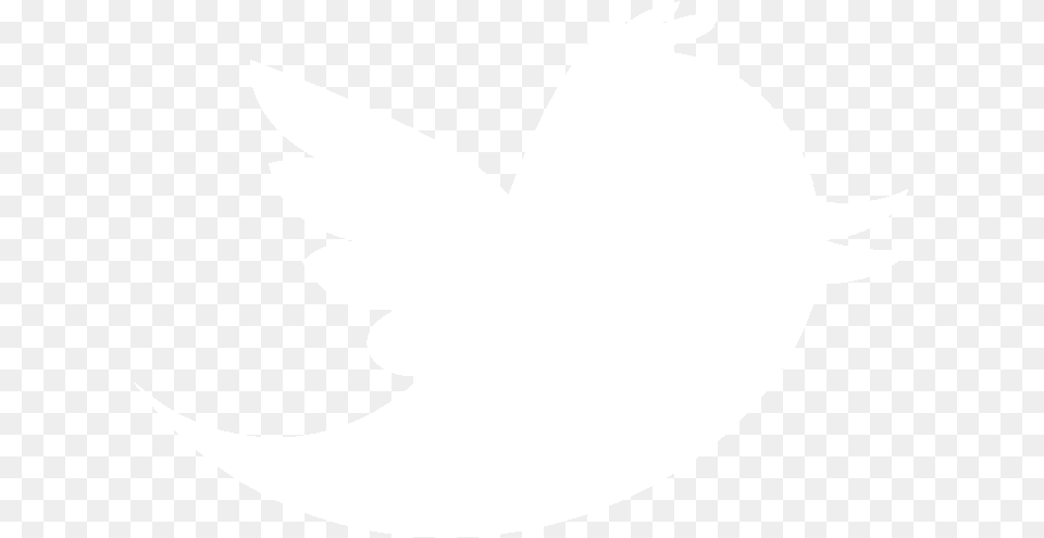 Best Photos Of White Transparent Twitter Bird Logo Spiderman White Logo, Stencil, Animal, Fish, Sea Life Free Png