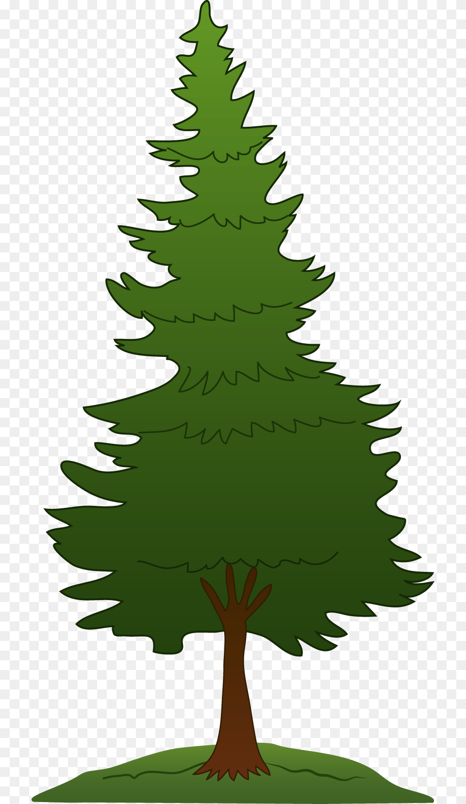 Best Pine Tree Clipart, Fir, Plant, Green, Conifer Free Png