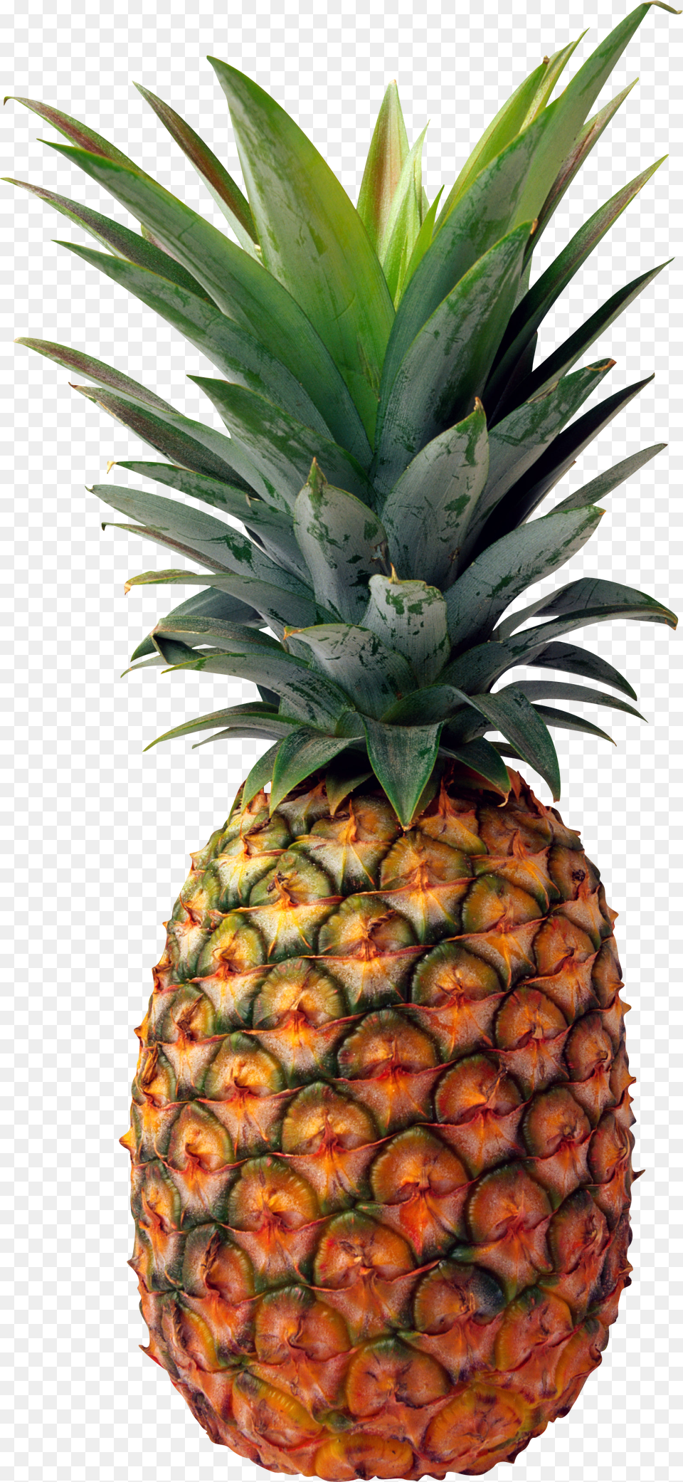 Best Pineapple Picture Pineapple, Heart Free Transparent Png