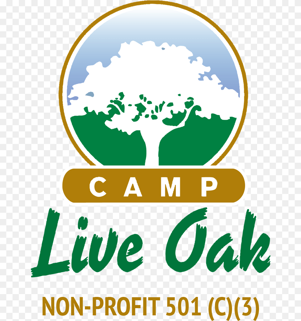 Best Plastic Bottle Craft Ideas For Kids Camp Live Oak Logo, Advertisement, Poster, Plant, Vegetation Free Transparent Png