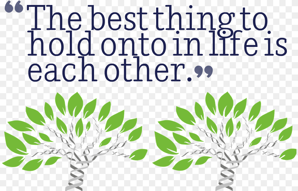 Best Quotes Image, Art, Plant, Leaf, Vegetation Free Png