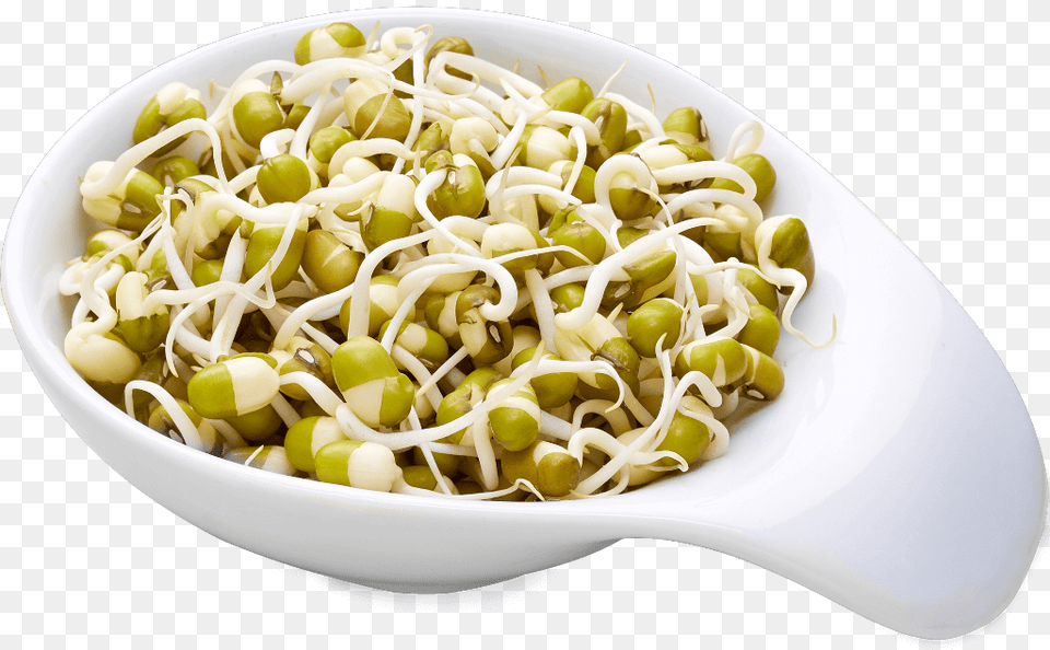 Best Raw As A Snack On Bread With A Fine Spread For Mung Bean, Plate, Bean Sprout, Food, Plant Free Png Download