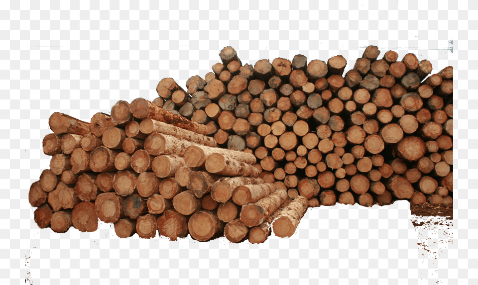 Best Raw Material Lumber, Wood Png Image