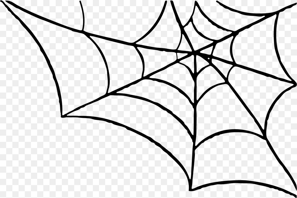 Best Spider Web Spider Web Transparent, Gray Free Png