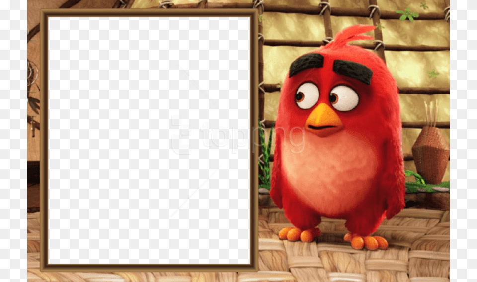 Best Stock Photos Angry Birds Movie Kids Frame Angry Birds 2 Movie, White Board, Animal, Bird Free Transparent Png
