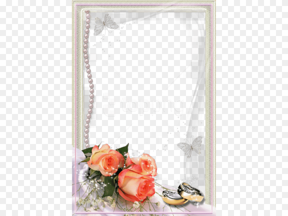 Best Stock Photos Beautiful Wedding Marco De Boda, Flower, Flower Arrangement, Flower Bouquet, Plant Free Transparent Png
