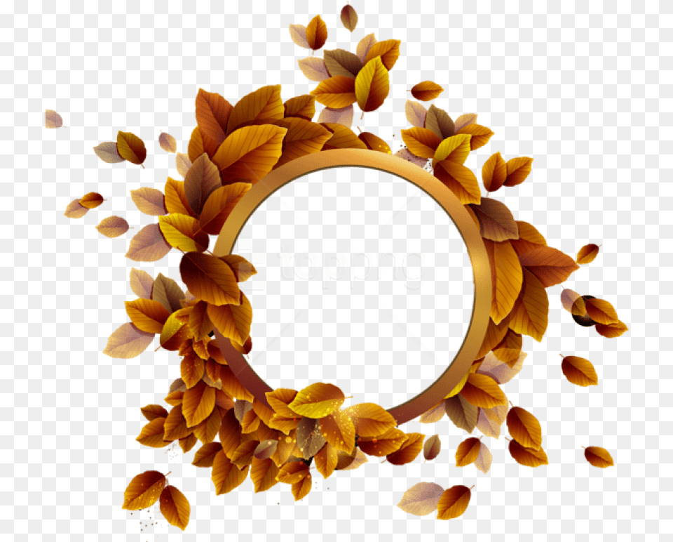 Best Stock Photos Fall Leaves Round Frame Circle Frame Hd, Plant, Flower, Sunflower, Pattern Png