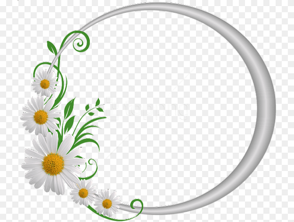 Best Stock Photos Silver Round Frame With Circle Round Flower Frame, Daisy, Plant, Art, Graphics Png Image