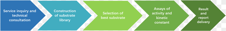 Best Substrate For An Enzymatic Reaction Graphic Design, Text, Book, Publication Png