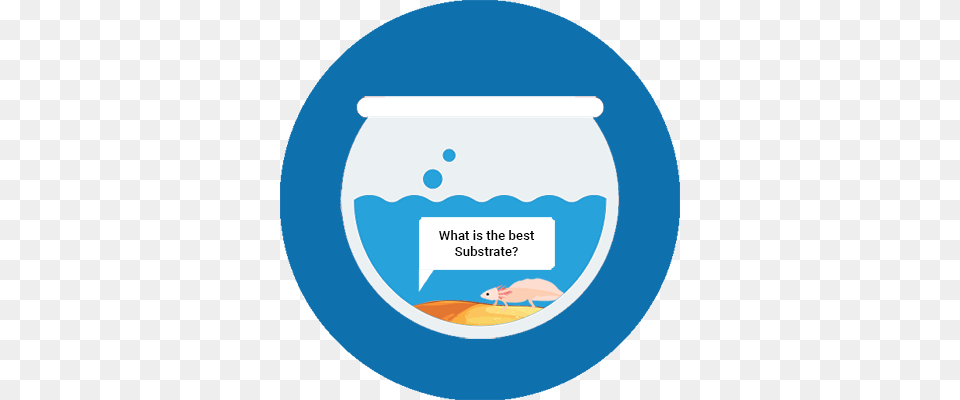 Best Substrate For Axolotl Substrate, Jar, Disk Free Png Download