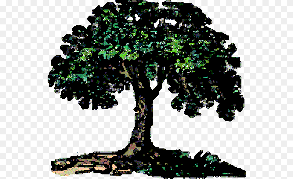 Best The Families With Family Tree Animated, Plant, Vegetation, Oak, Outdoors Png