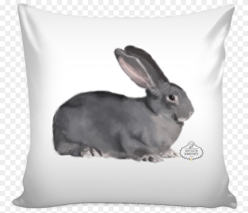 Best Thought For Wife, Animal, Hare, Mammal, Rodent Png Image