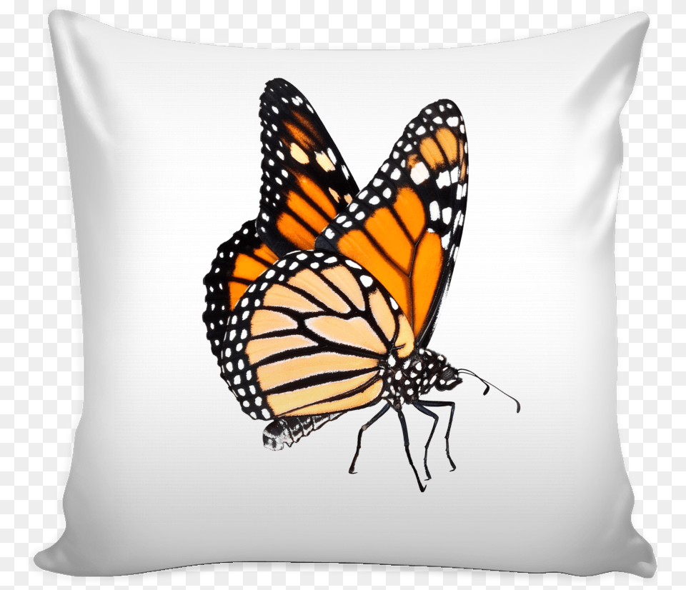 Best Thought For Wife, Cushion, Home Decor, Pillow, Animal Png