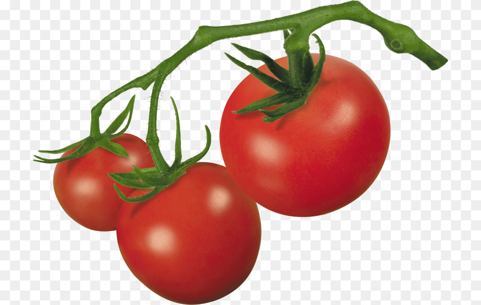 Best Tomato Clipart, Food, Plant, Produce, Vegetable Free Transparent Png