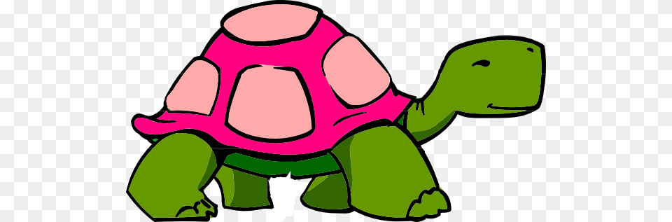 Best Turtle Clipart, Animal, Reptile, Sea Life, Tortoise Png