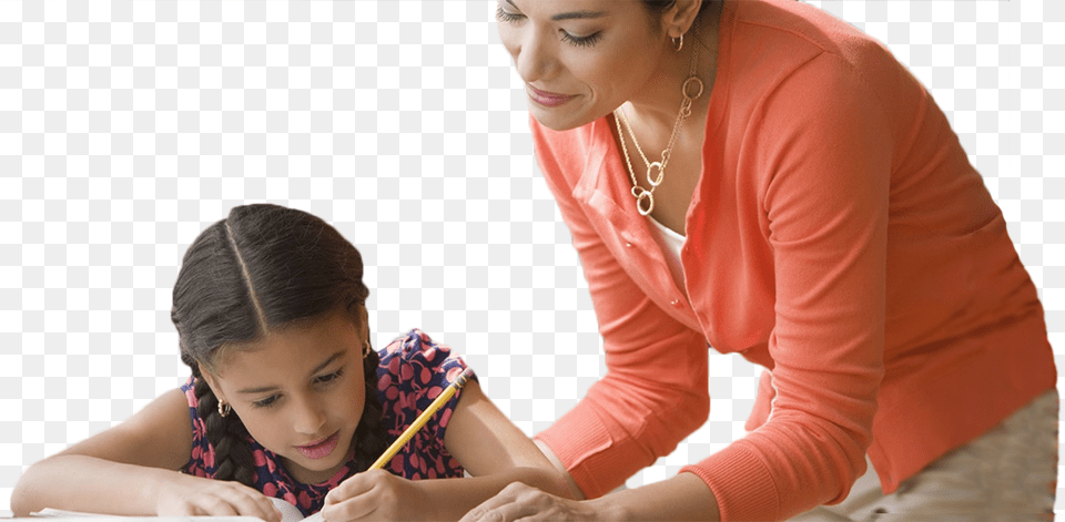 Best Tutor, Woman, Adult, Female, Person Png