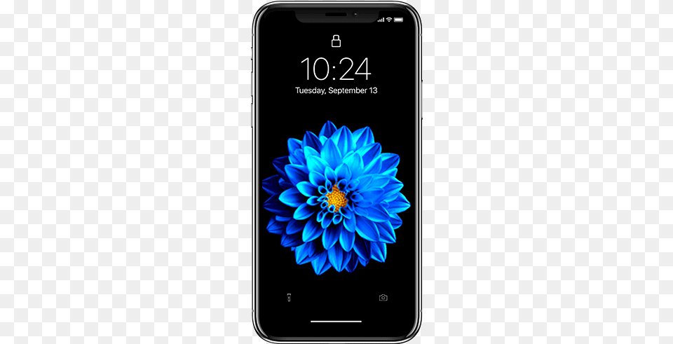 Best Unique Animated Live Wallpapers For Your Iphone Live Wallpaper Iphone X, Dahlia, Electronics, Flower, Mobile Phone Png Image