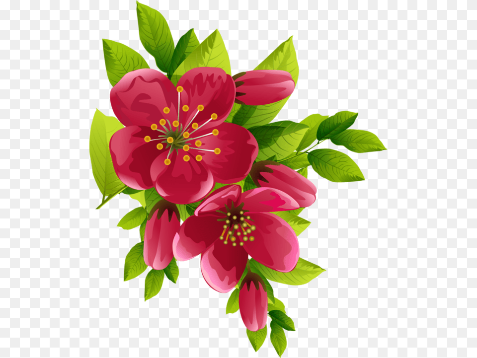 Best Wallpaper Flowers, Flower, Plant, Petal, Art Free Png