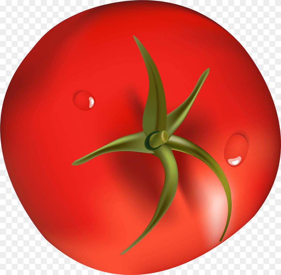 Best Web Tomato, Vegetable, Food, Produce, Plant Free Png