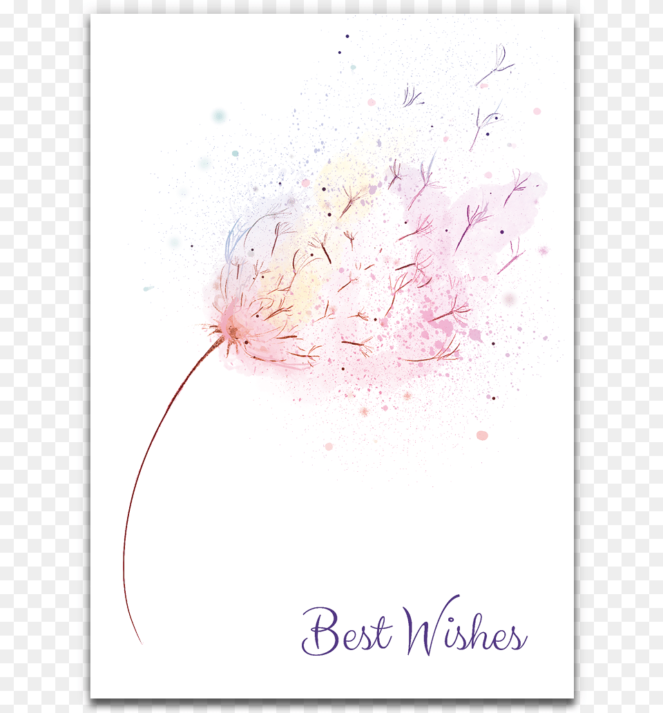 Best Wishes, Flower, Plant Free Png Download