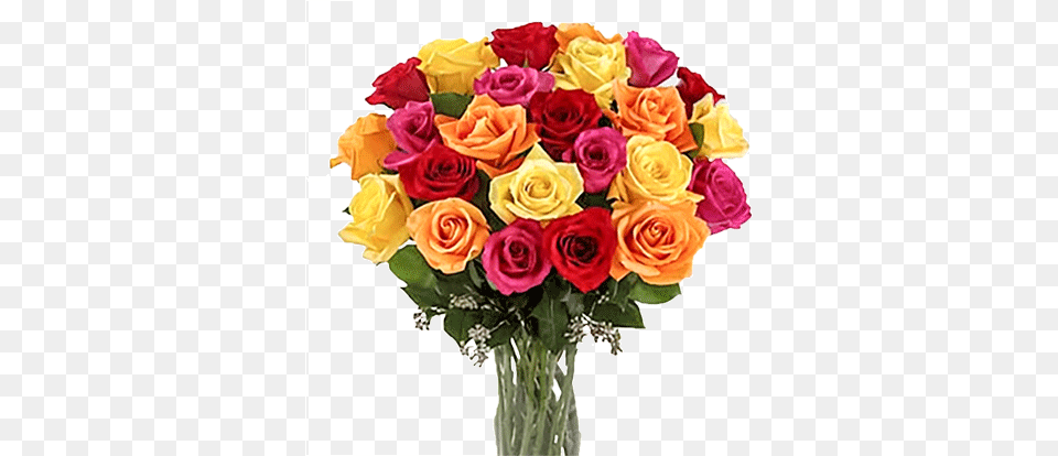 Best Wishes Red Yellow And Pink Roses, Flower, Flower Arrangement, Flower Bouquet, Plant Free Transparent Png