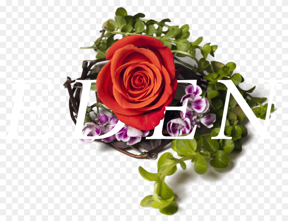 Bestill Header Element Garden Roses, Art, Flower, Flower Arrangement, Flower Bouquet Png Image