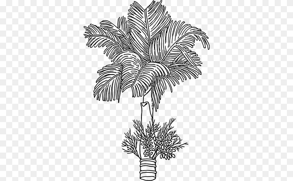 Betel Clip Art Vector Betel Nut Tree Clip Art, Leaf, Palm Tree, Plant, Drawing Png