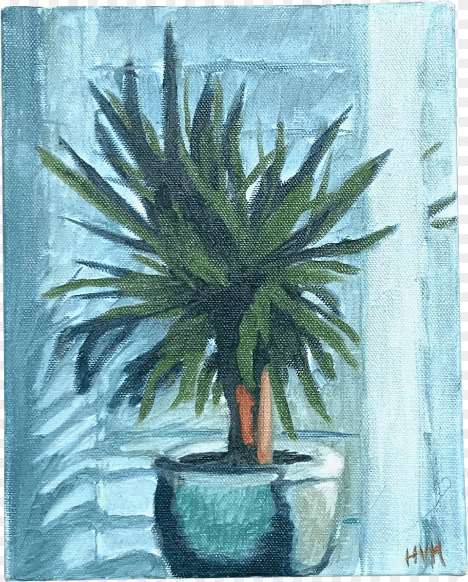 Beth Downey Potted Plant Painting Still Life, Art, Tree, Potted Plant, Palm Tree Png Image