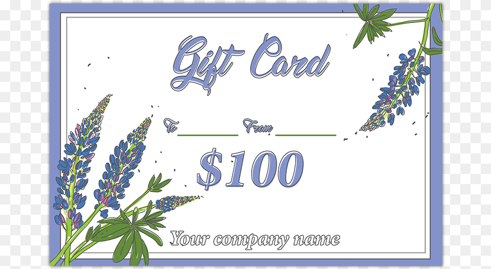 Beth Gift Certificate, Flower, Lupin, Plant, Herbal Free Transparent Png