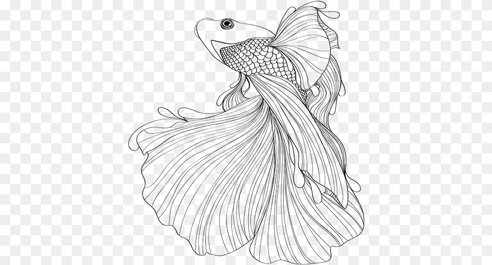 Betta Clan Banner Japanese Fighting Fish Drawing, Gray Png