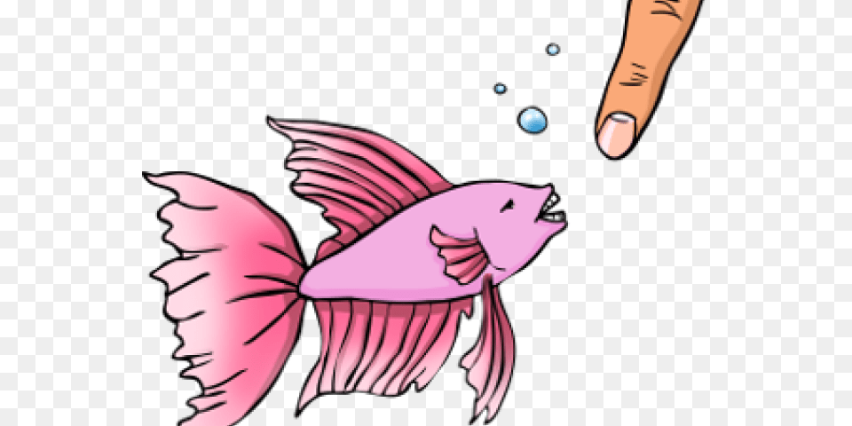 Betta Clipart Fancy Fish, Baby, Person, Animal, Face Png Image