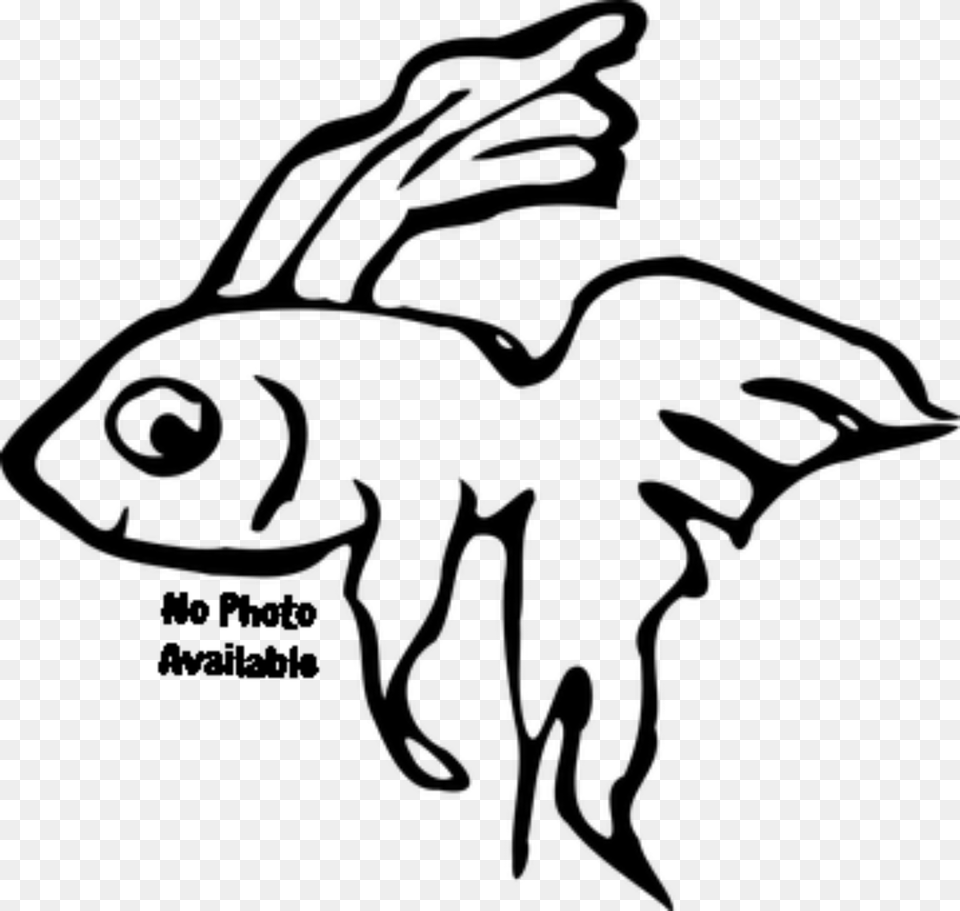 Betta Fish Black And White, Gray Free Png