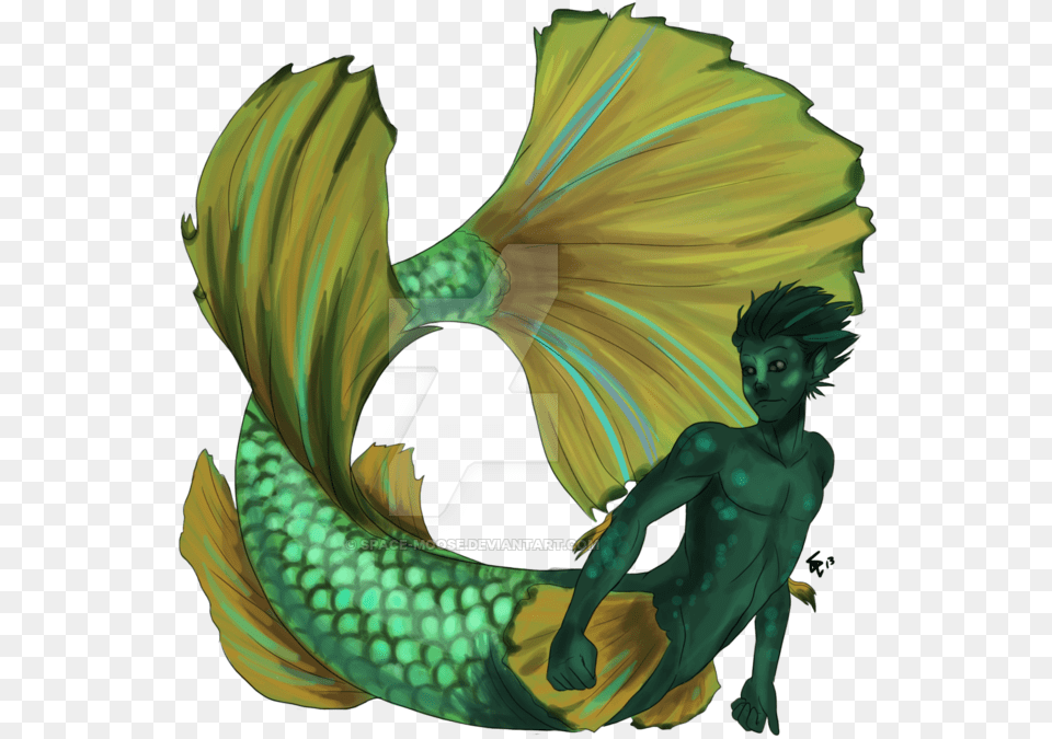 Betta Fish Mermaid By Space Betta Fish As A Mermaid, Adult, Female, Person, Woman Free Png