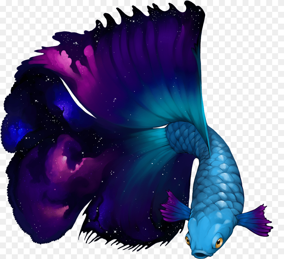 Betta Nebula Clipart Download Illustration, Aquatic, Water, Animal, Sea Life Png