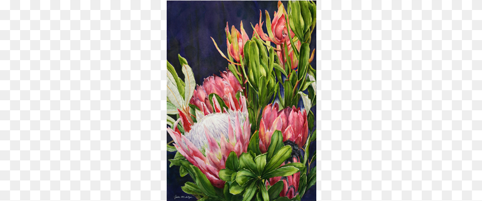 Better Than Roses Watercolor Painting, Art, Plant, Flower Arrangement, Flower Png Image