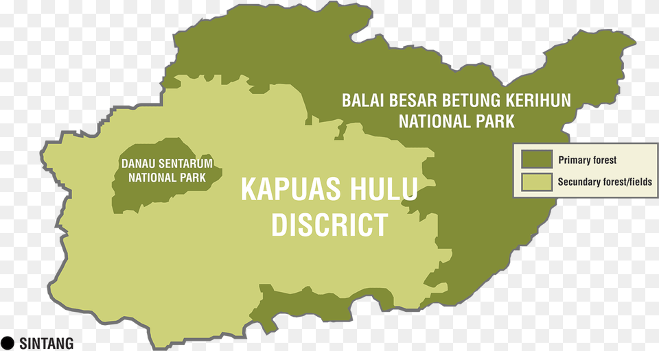 Betung Kerihun National Park Map, Vegetation, Tree, Rainforest, Plot Free Png