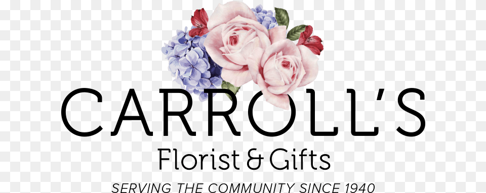 Beverly Florist Flower Delivery By Carrollu0027s Garden Roses, Flower Arrangement, Flower Bouquet, Plant, Rose Free Png