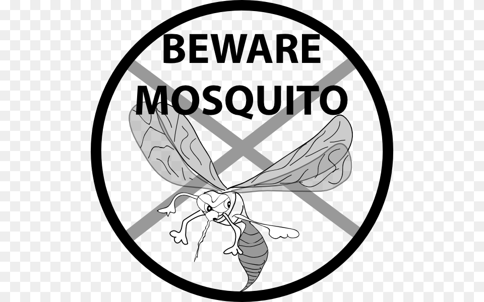 Beware Mosquito Svg Clip Arts Ozone Therapy Before And After, Animal, Bee, Insect, Invertebrate Free Png