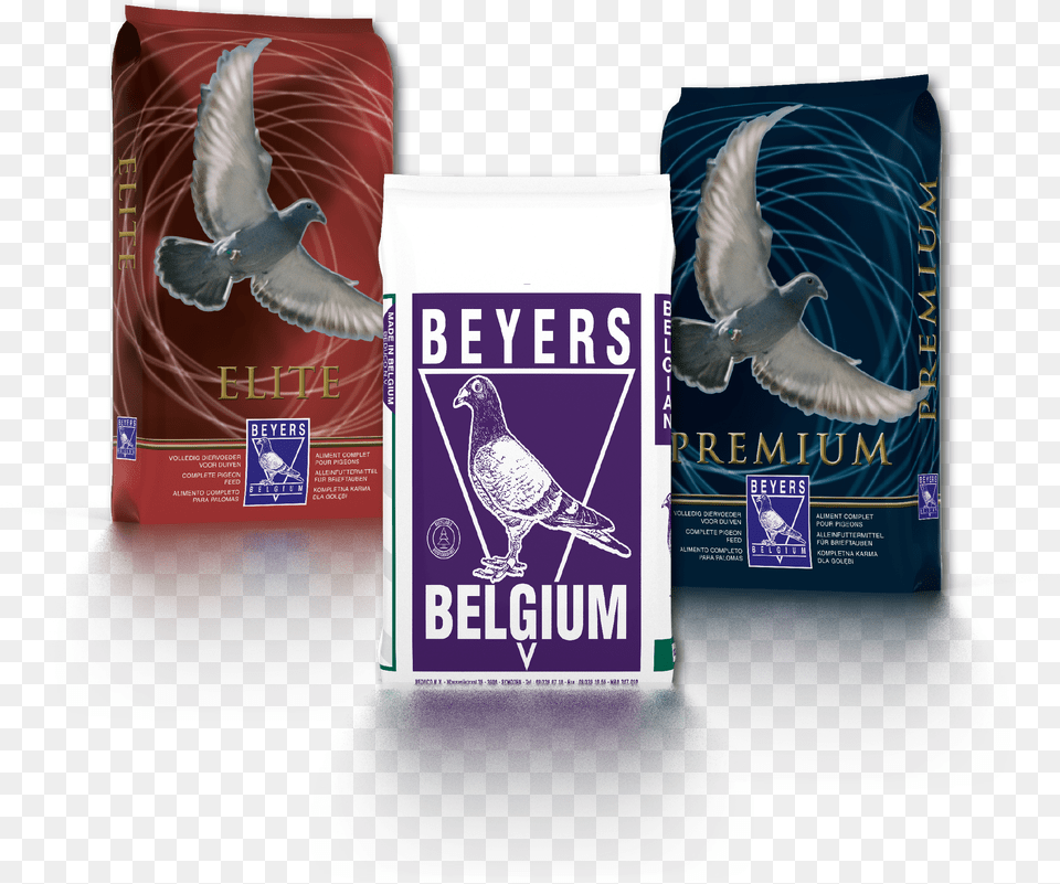 Beyers Pigeon Feed Free Png