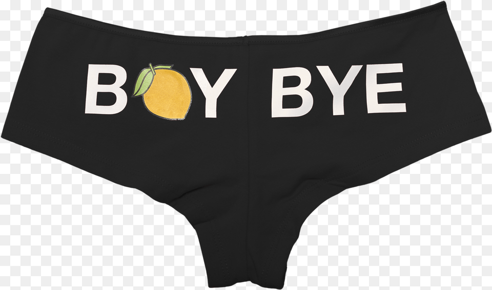 Beyonce Underwear Panties Boy Bye Hold Up, Clothing, Lingerie, Thong Free Png