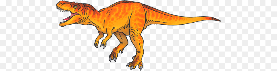 Beyond T Rex Amnh Animal Figure, Dinosaur, Reptile, T-rex Free Transparent Png