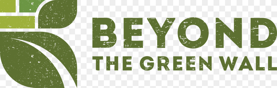 Beyond The Green Wall Ltd Logo, Plant, Vegetation, Text, Ball Free Png Download